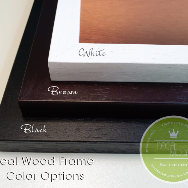 Frame Color Options Frame Color Options